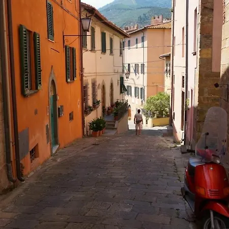 Nido Bianco Vicopisano